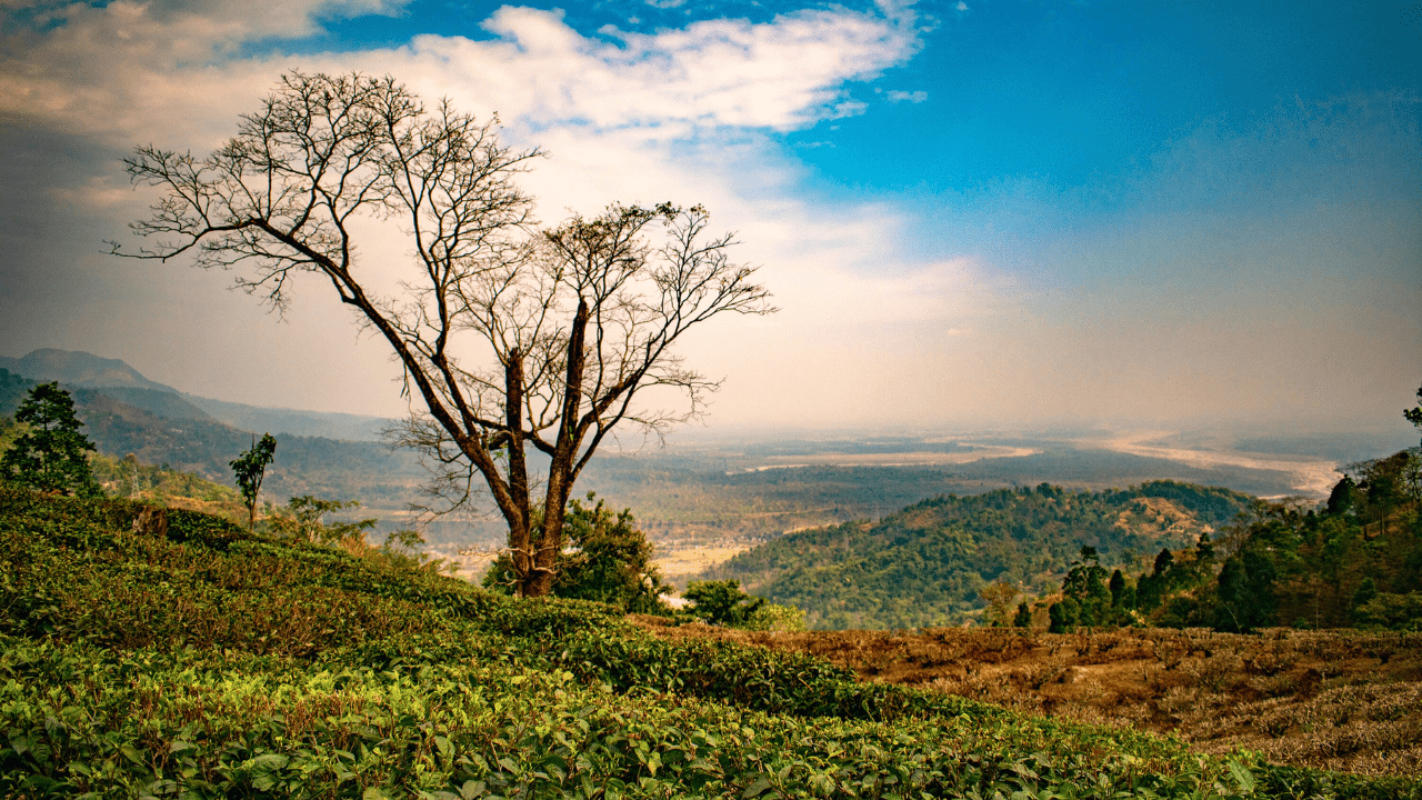 Mirik Travel