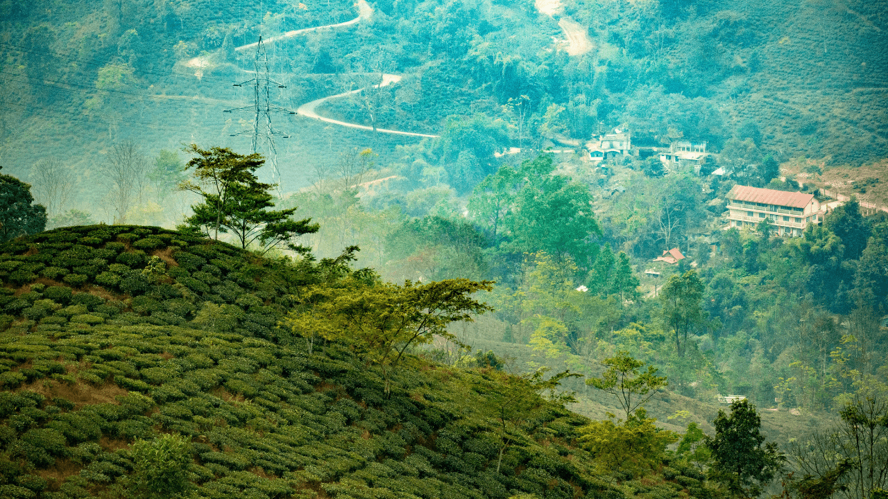 Tabakoshi Mirik