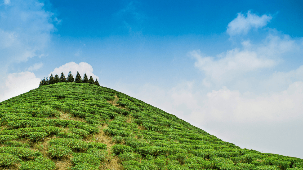 Tabakoshi Mirik