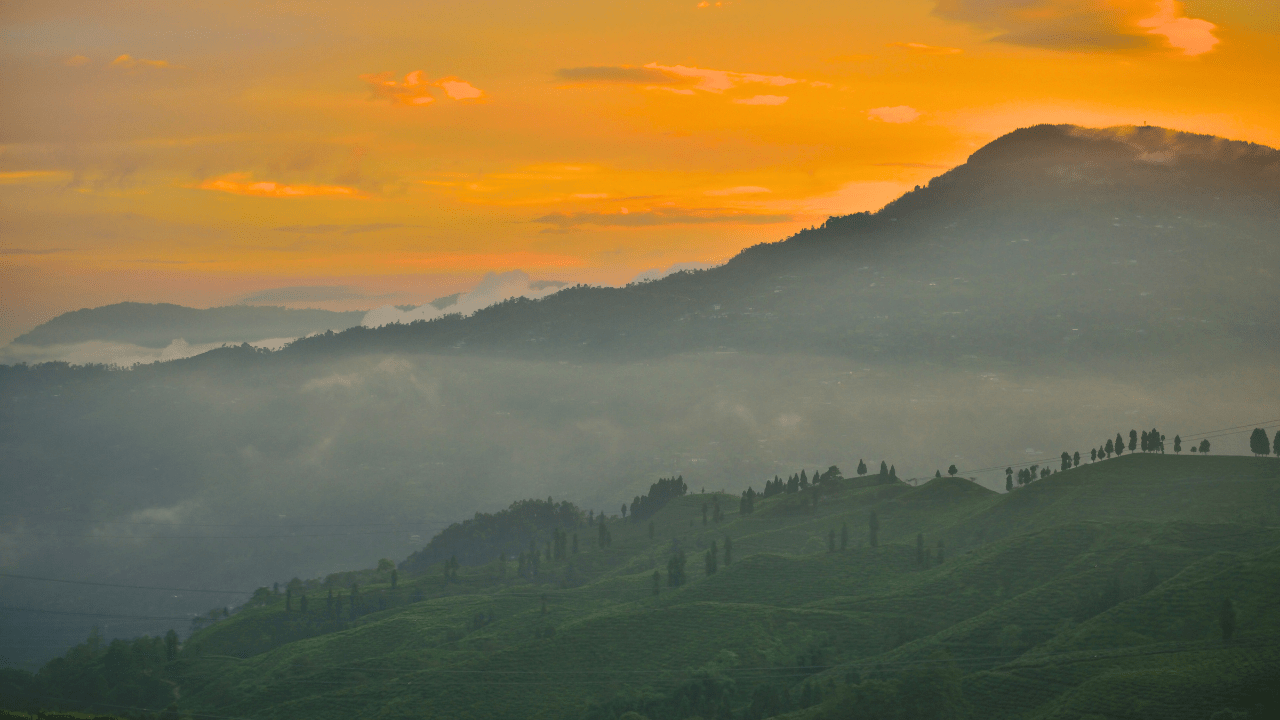 Mirik Travel