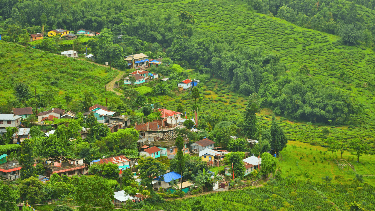 Mirik Travel