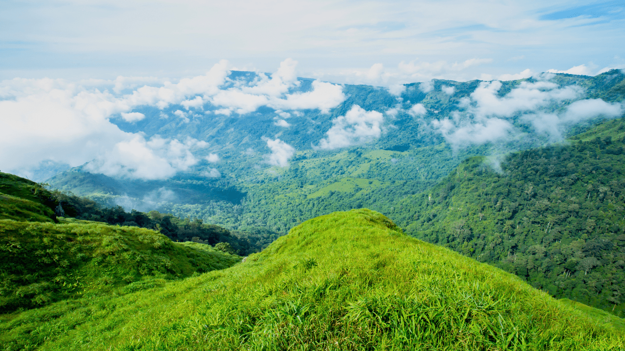 Mirik Travel