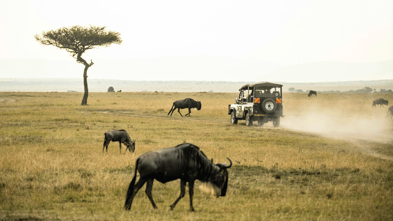 Neora Valley National Park