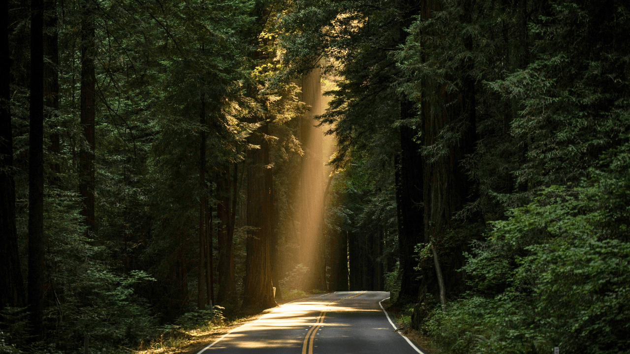 Neora Valley National Park