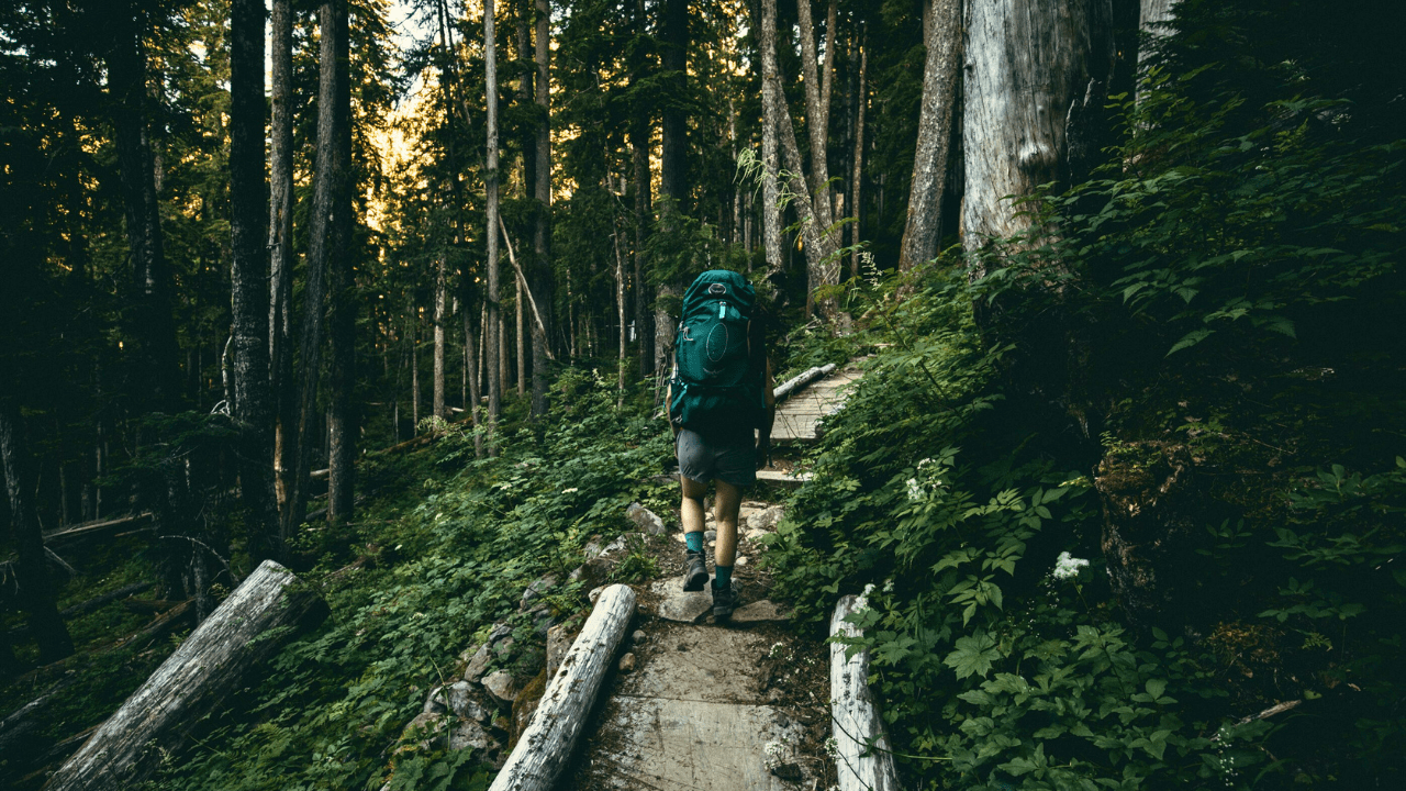 Neora Valley National Park