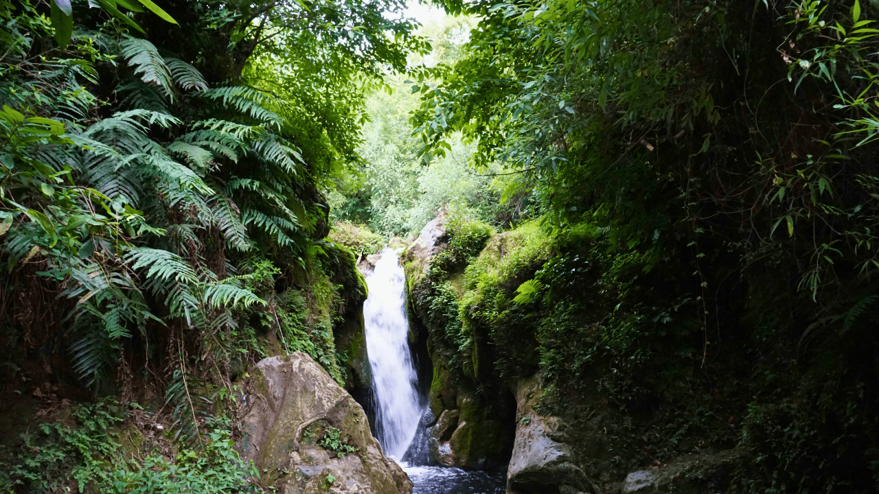 Sillery Gaon 