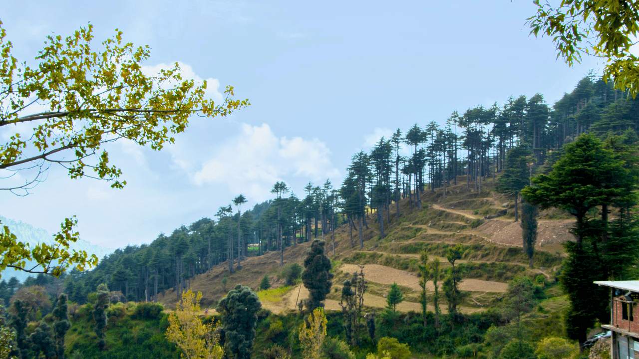 Sillery Gaon 