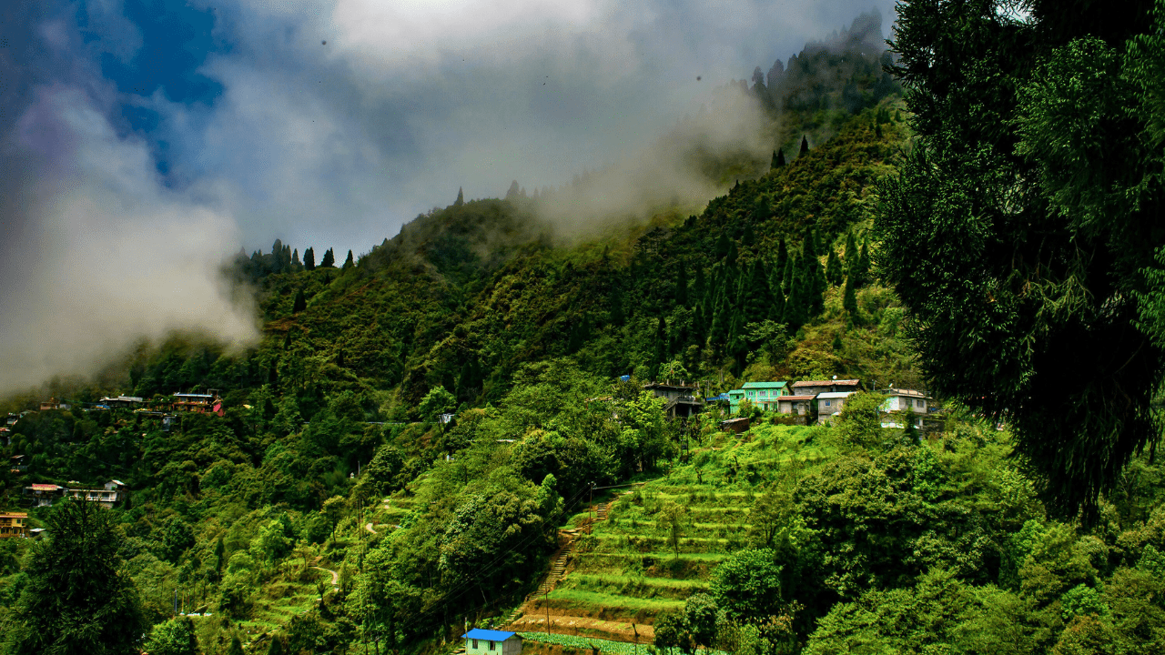 Darjeeling