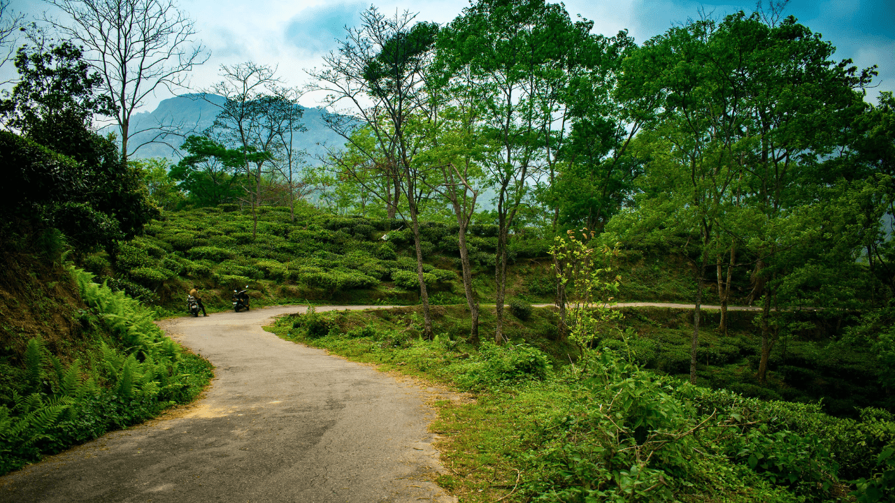 Darjeeling