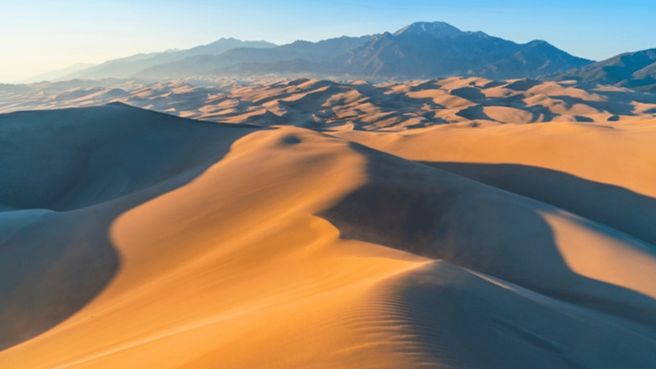 Athabasca Sand Dunes Provincial Park