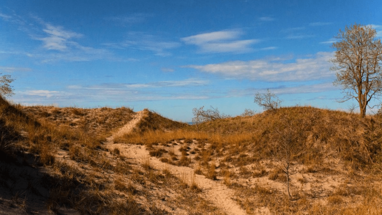 Athabasca Sand Dunes Provincial Park