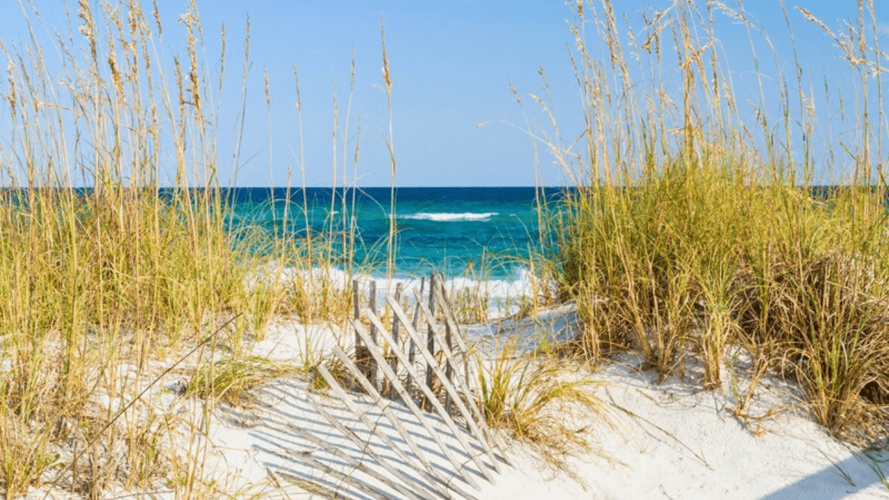 Athabasca Sand Dunes Provincial Park