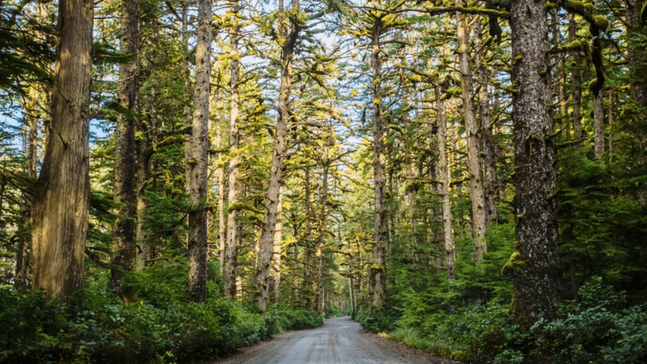 Haida Gwaii