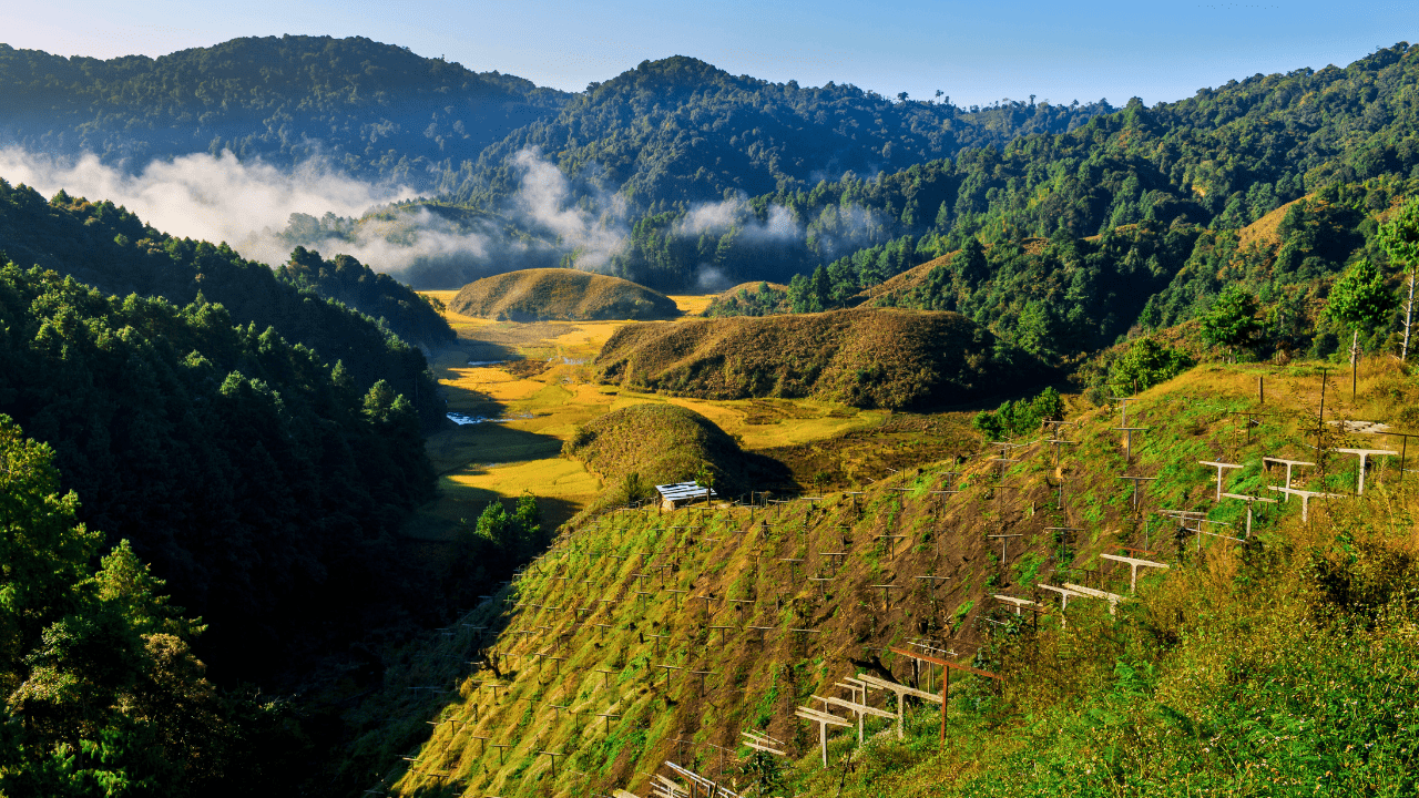 Ziro Valley