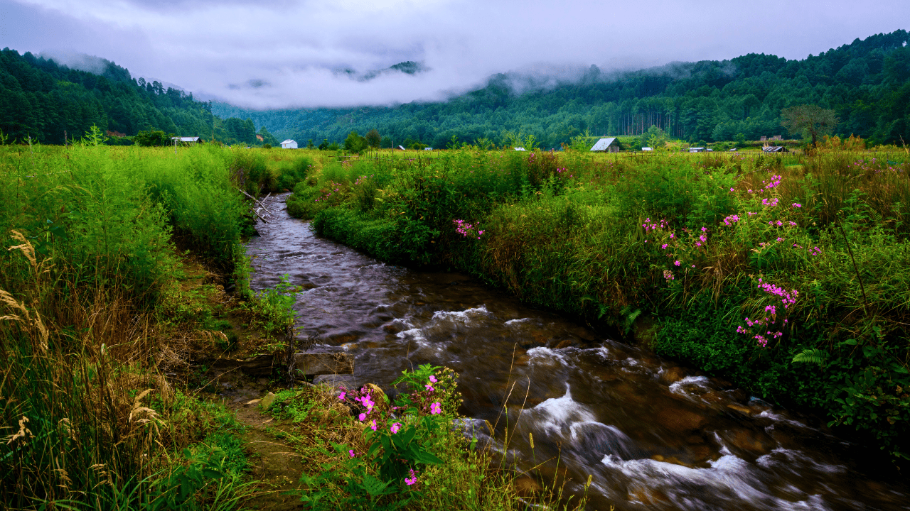 Ziro Valley