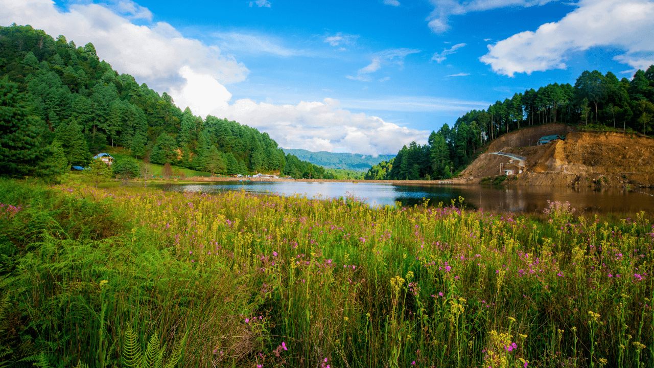 Ziro Valley