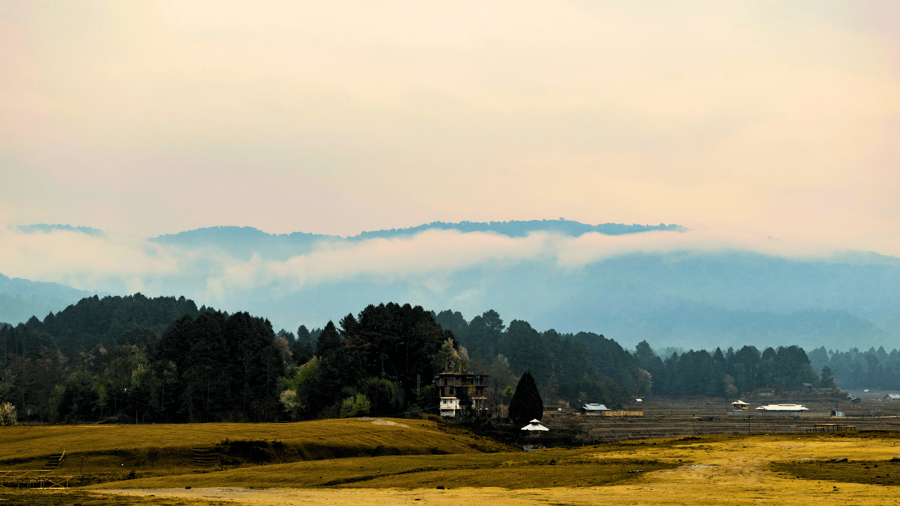 Ziro Valley