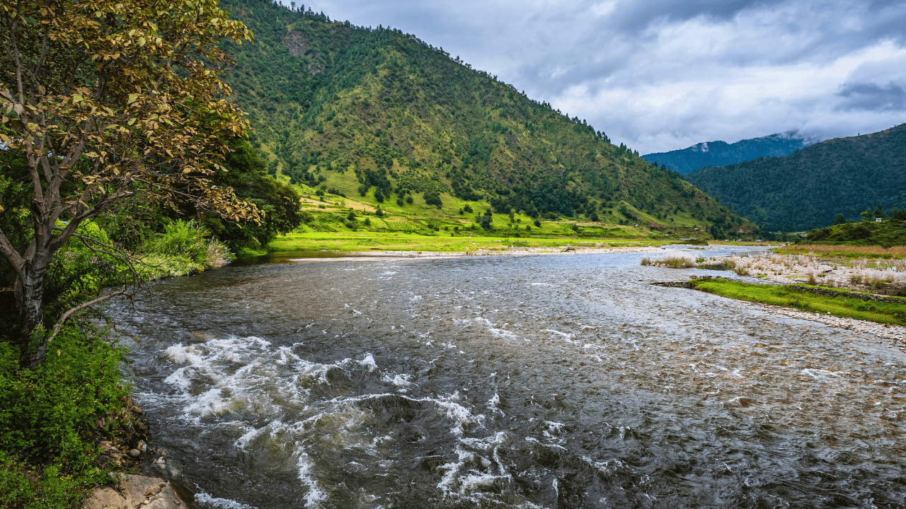 Ziro Valley