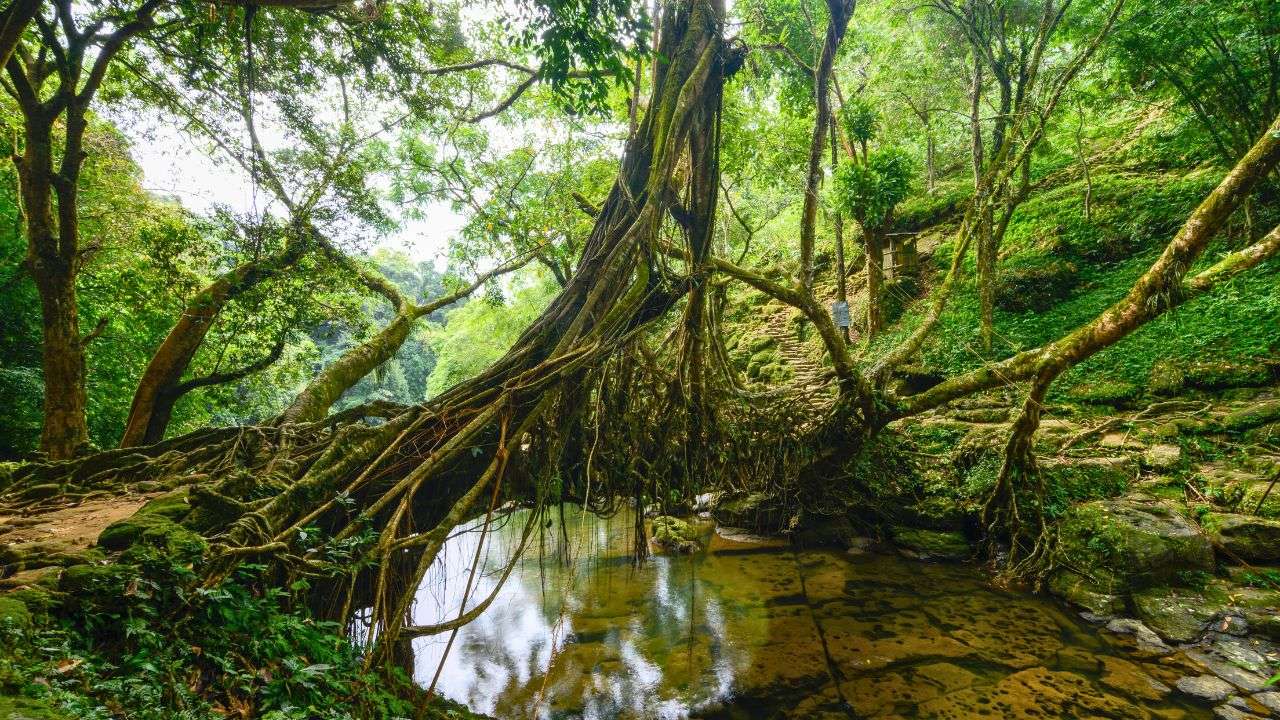 Mawlynnong, Meghalaya