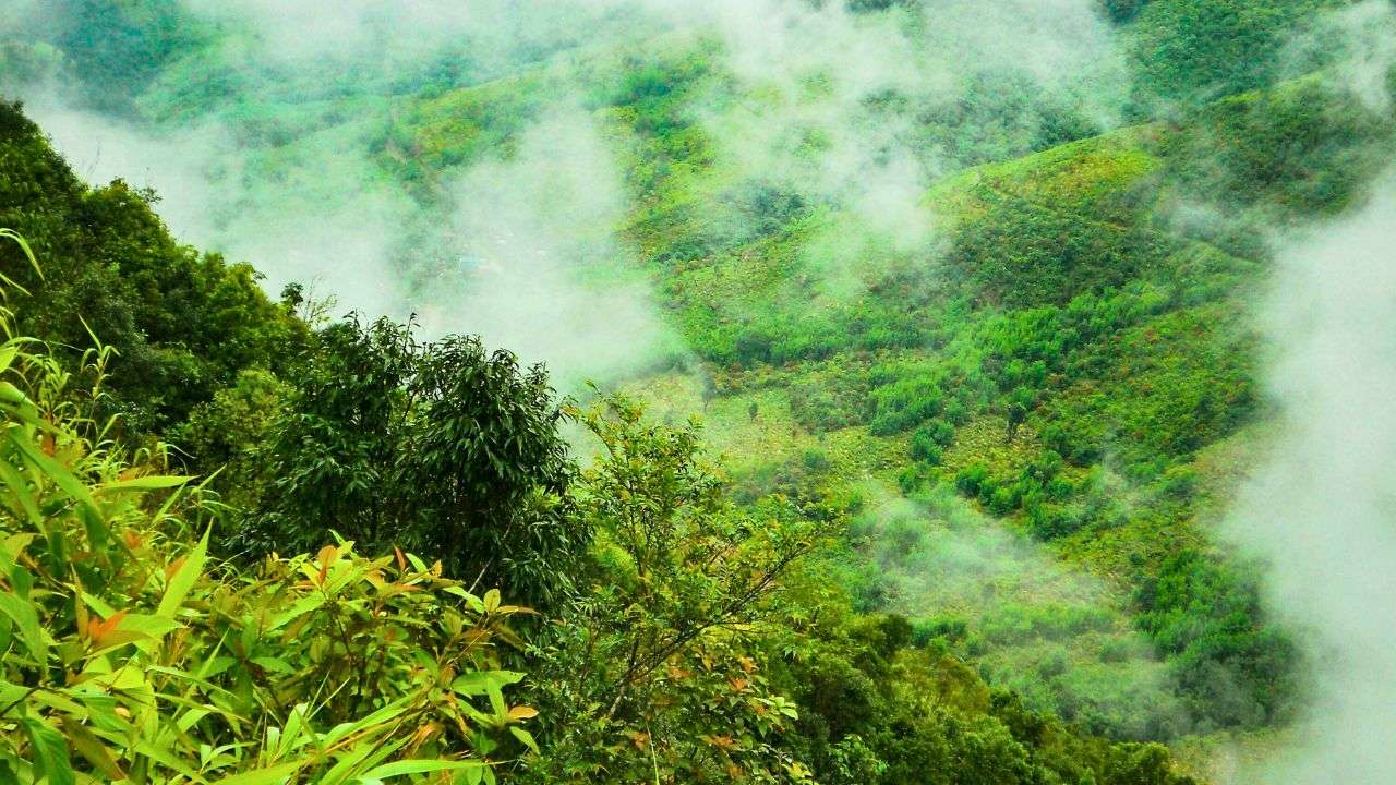 Mawlynnong, Meghalaya